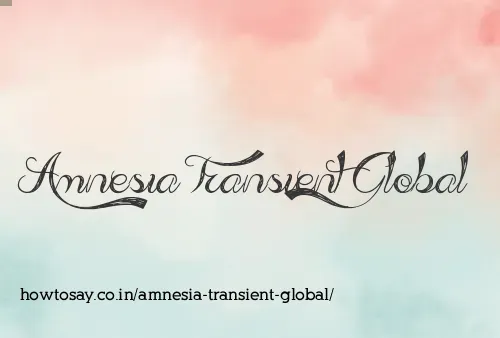 Amnesia Transient Global