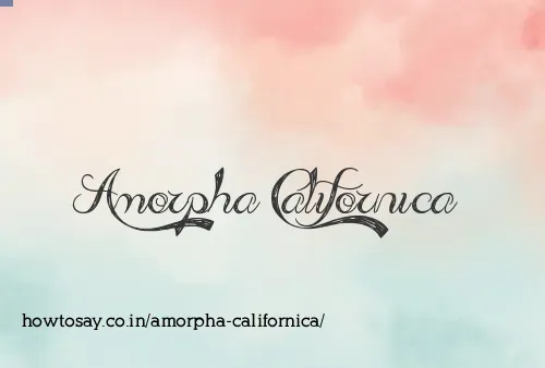 Amorpha Californica