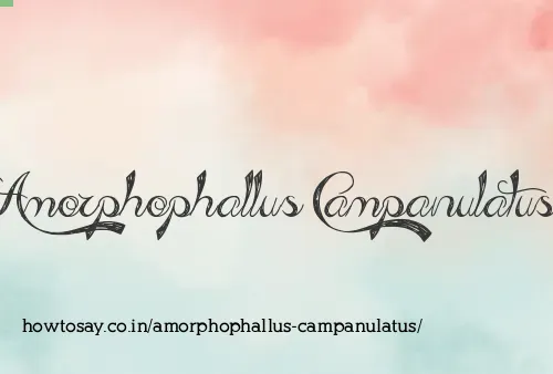 Amorphophallus Campanulatus
