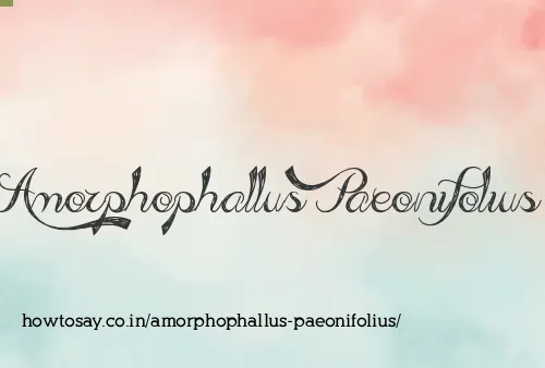Amorphophallus Paeonifolius