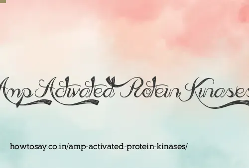 Amp Activated Protein Kinases