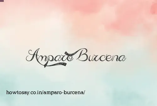 Amparo Burcena