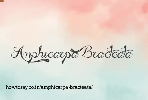 Amphicarpa Bracteata