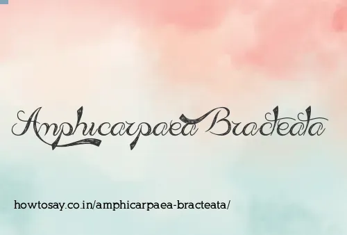 Amphicarpaea Bracteata