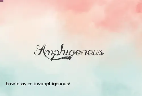 Amphigonous