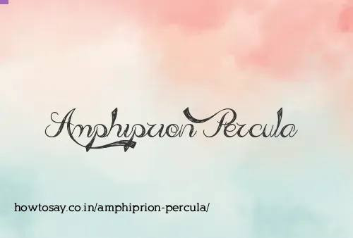 Amphiprion Percula