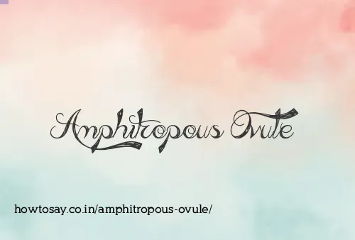 Amphitropous Ovule