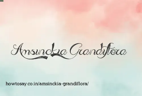 Amsinckia Grandiflora