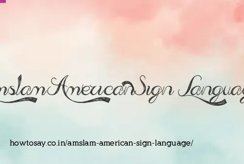 Amslam American Sign Language
