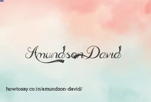 Amundson David