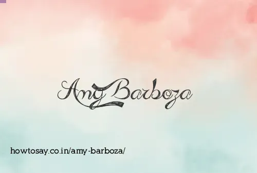 Amy Barboza