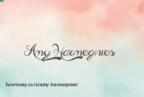 Amy Harmegnies