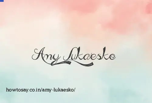 Amy Lukaesko