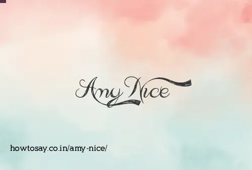 Amy Nice
