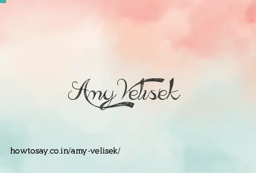 Amy Velisek