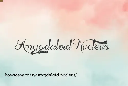 Amygdaloid Nucleus