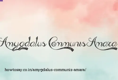 Amygdalus Communis Amara