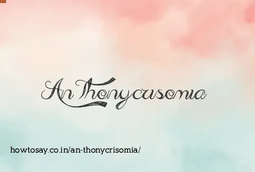 An Thonycrisomia
