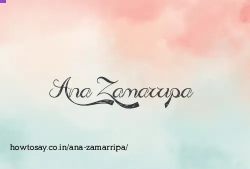 Ana Zamarripa