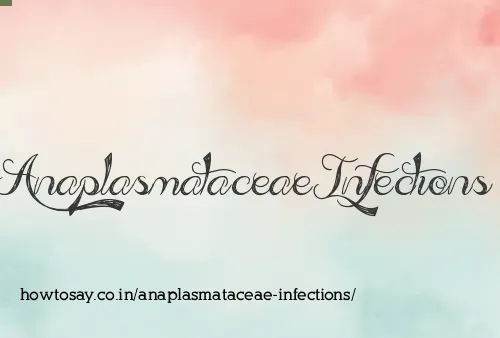 Anaplasmataceae Infections