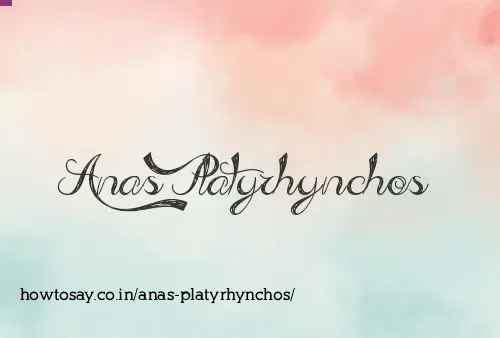 Anas Platyrhynchos