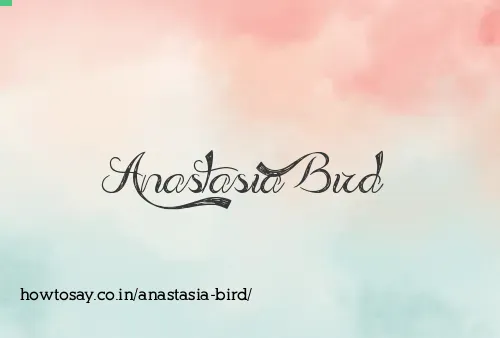 Anastasia Bird