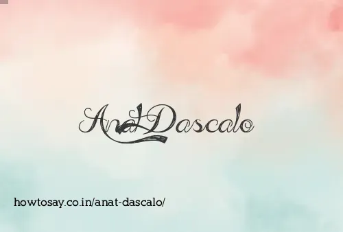 Anat Dascalo