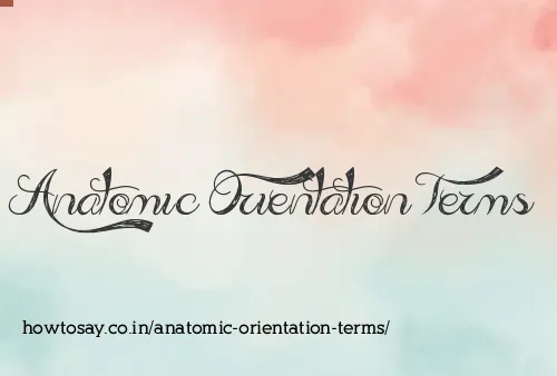 Anatomic Orientation Terms
