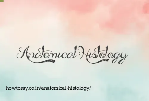 Anatomical Histology