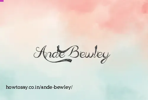 Ande Bewley