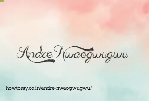 Andre Nwaogwugwu