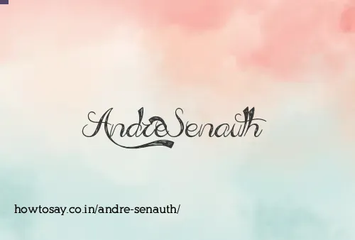 Andre Senauth