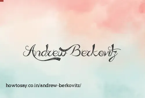 Andrew Berkovitz