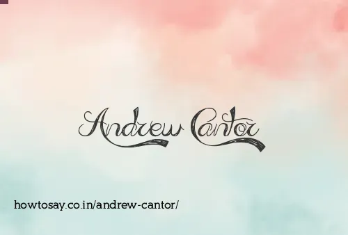 Andrew Cantor