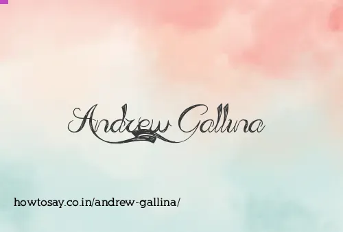 Andrew Gallina