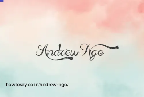 Andrew Ngo
