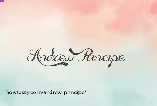 Andrew Principe