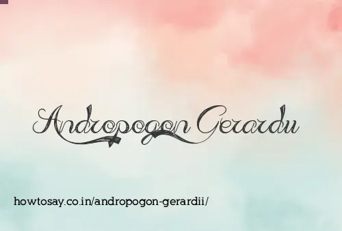 Andropogon Gerardii