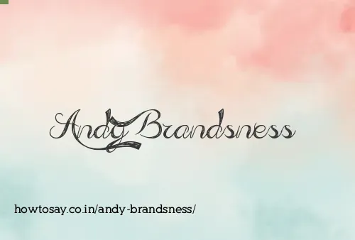 Andy Brandsness