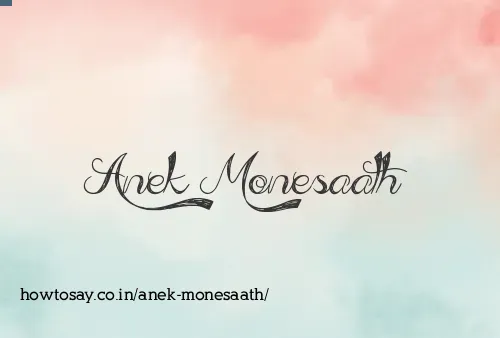 Anek Monesaath