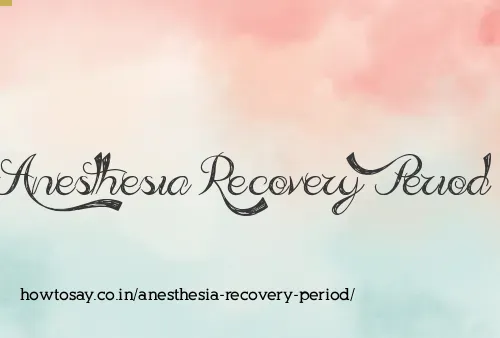 Anesthesia Recovery Period