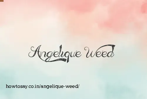 Angelique Weed
