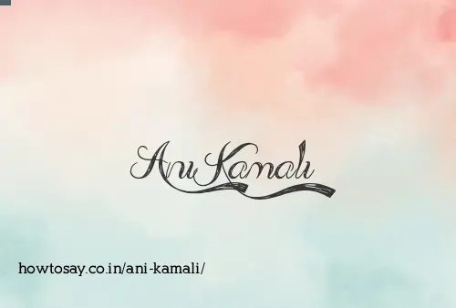 Ani Kamali
