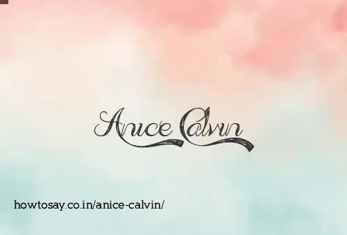 Anice Calvin