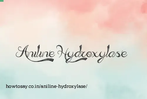 Aniline Hydroxylase