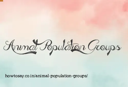Animal Population Groups