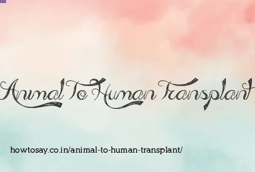 Animal To Human Transplant