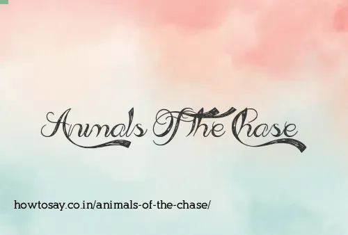 Animals Of The Chase