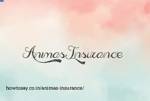 Animas Insurance