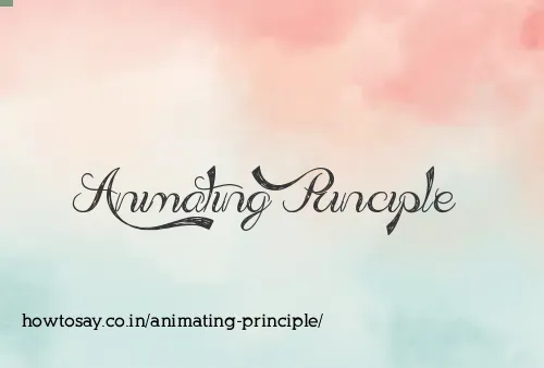 Animating Principle
